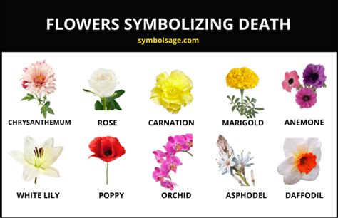 flowers that represent betrayal